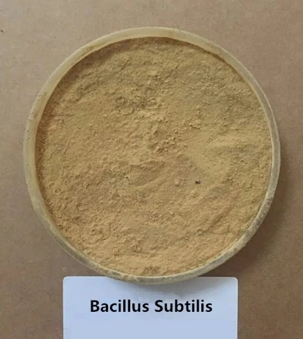 Fish Supplement Probiotics Bacillus Subtilis suppliers
