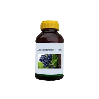 Azotobacter 526-08-9